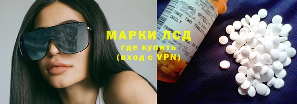 PSILOCYBIN Аркадак