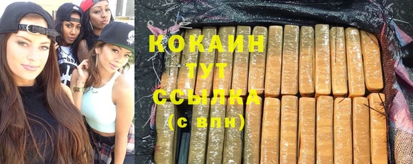 PSILOCYBIN Аркадак