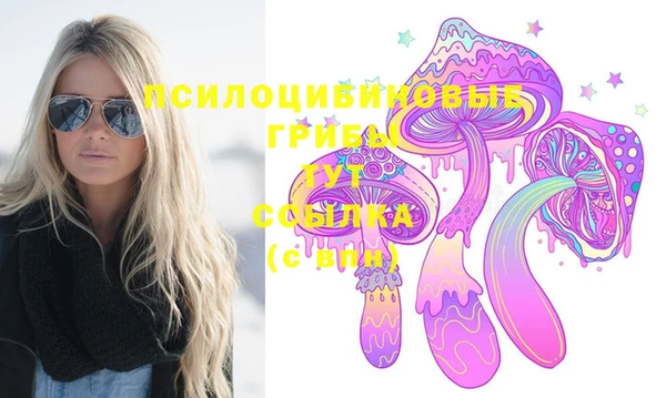 PSILOCYBIN Аркадак