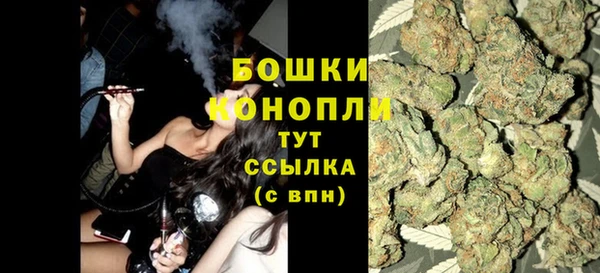 PSILOCYBIN Аркадак
