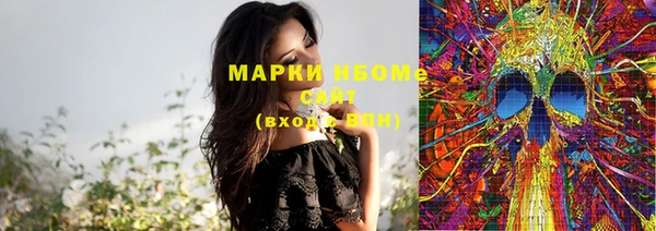 PSILOCYBIN Аркадак